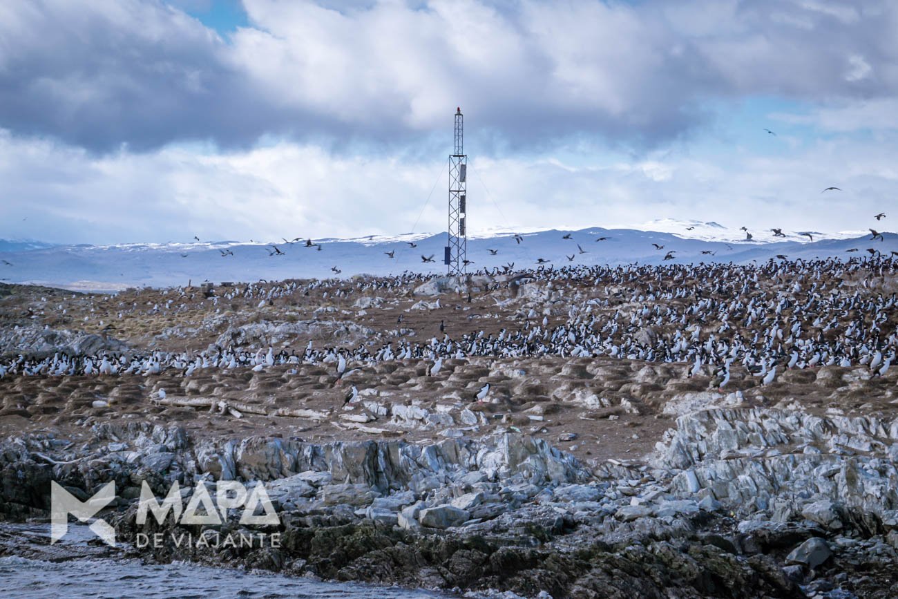 Ilha dos Pássaros, primeira parada no Canal de Beagle