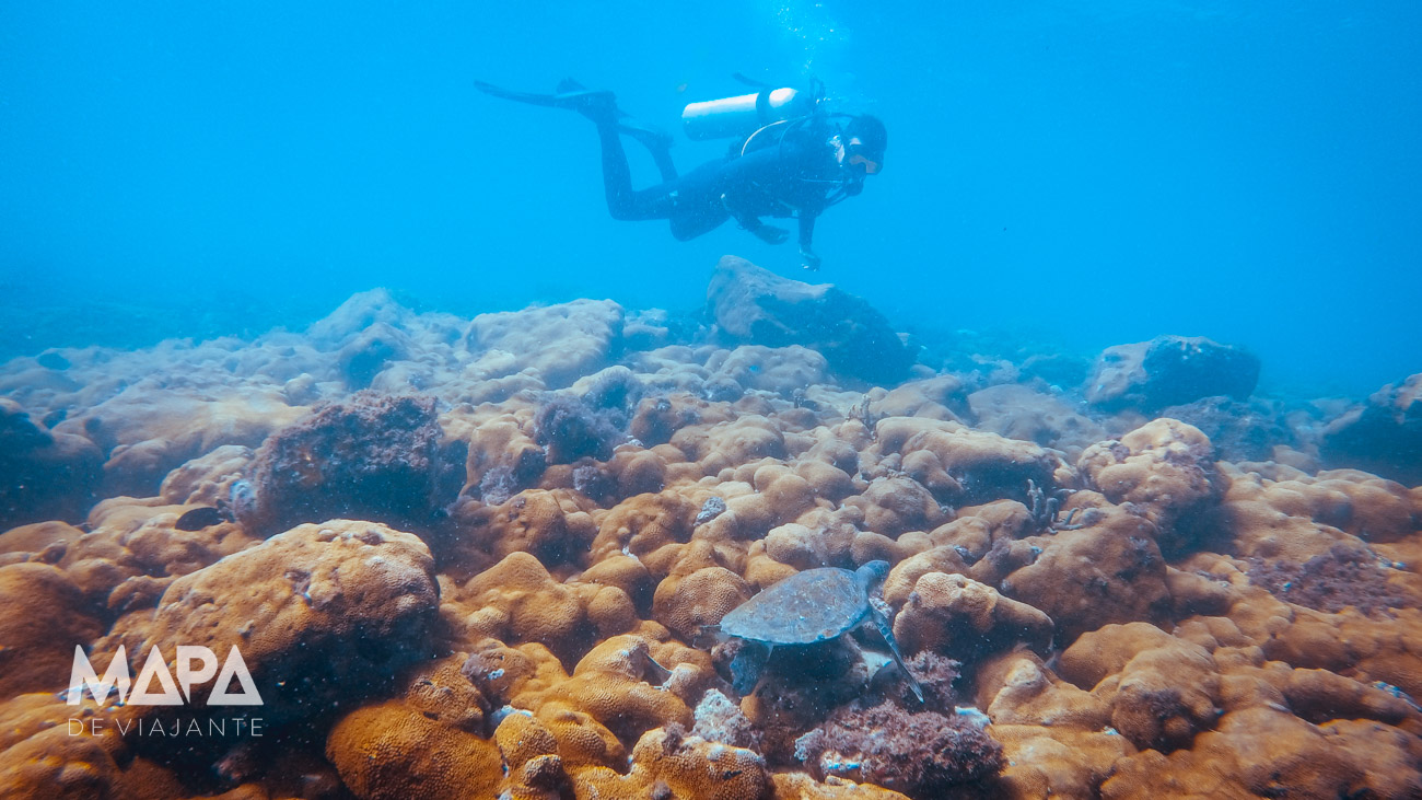 Mergulho em Arraial do Cabo