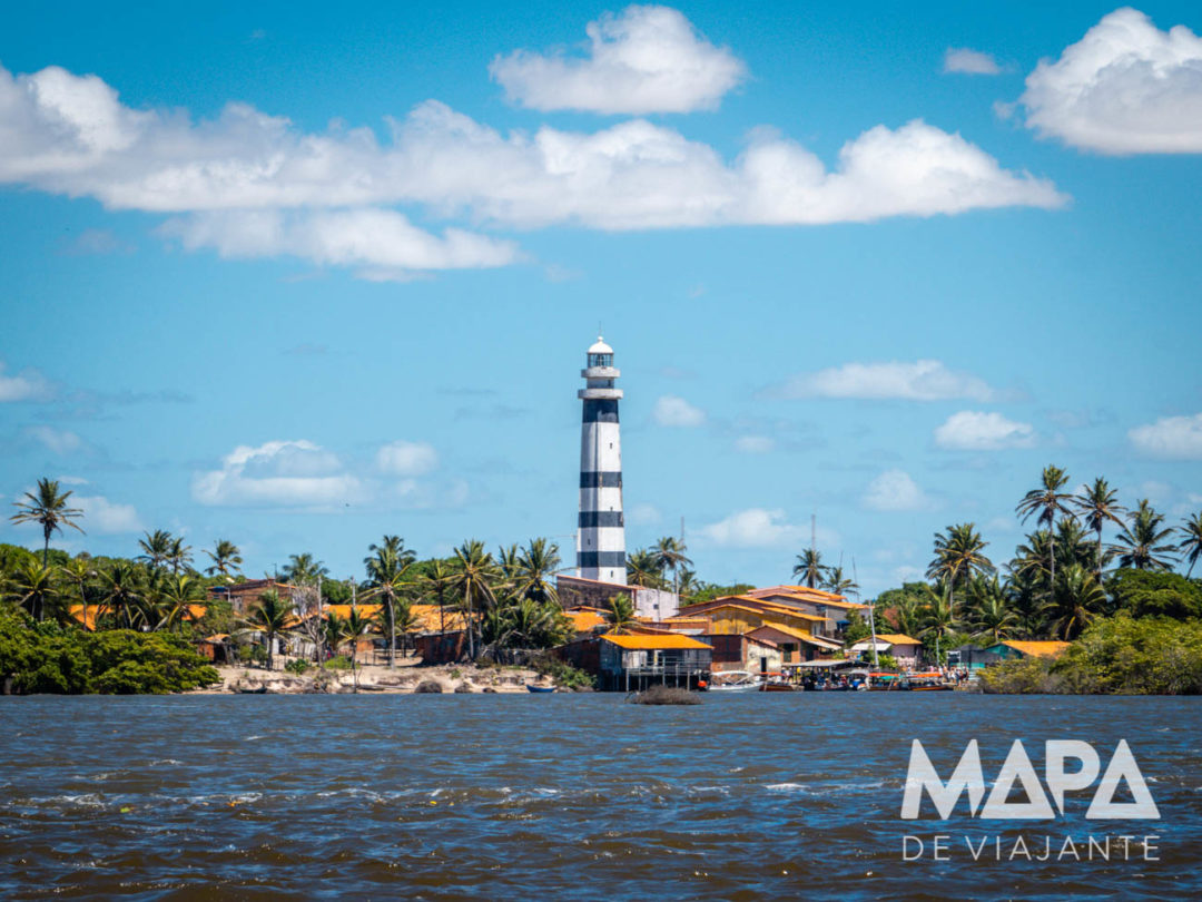 Mandacaru no Rio Preguiças