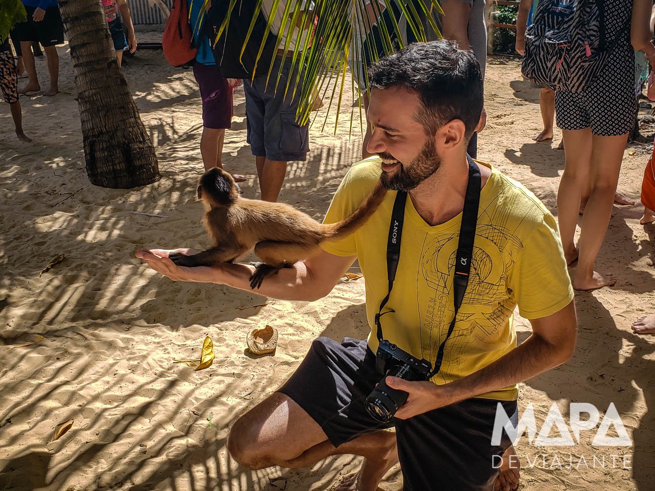 Vassouras Ilha dos Macacos Rio Preguiças