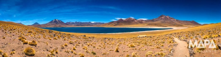 Deserto do Atacama Laguna Tyuacto