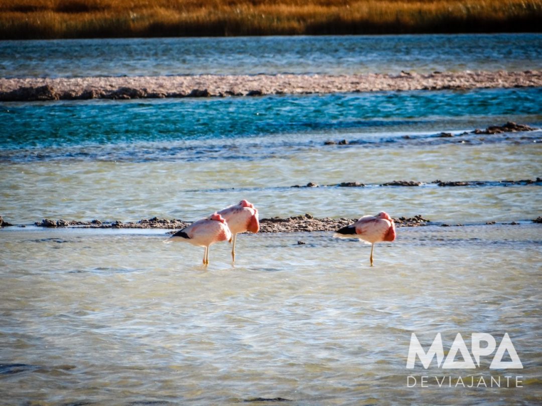 Laguna Cejar no Chile