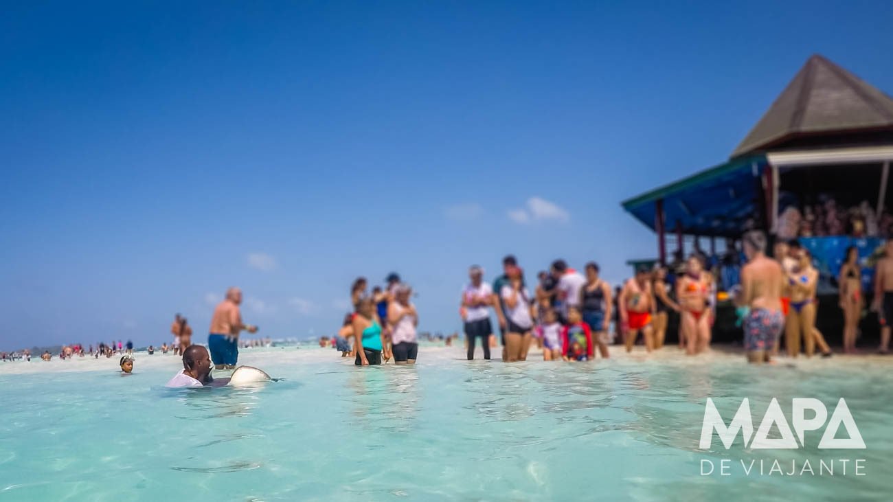 Mantarraya sendo segurada para fotos em El Acuario