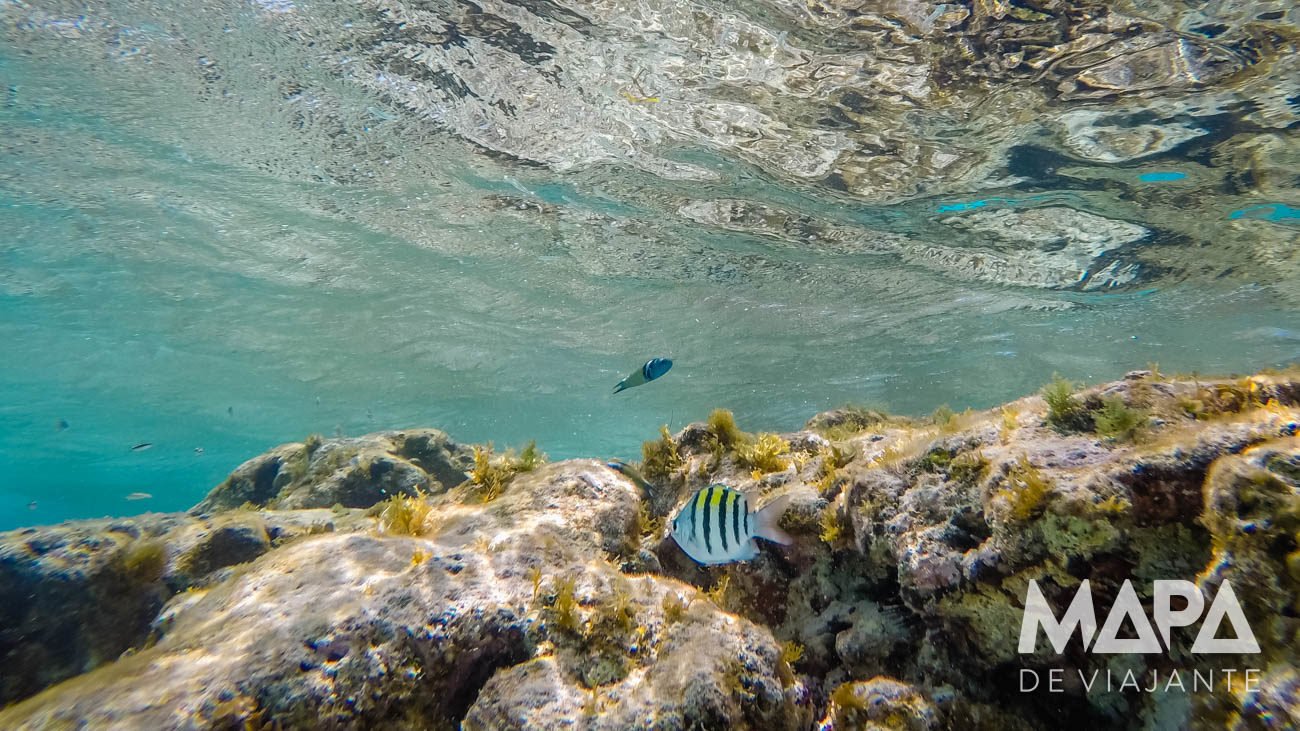 Snorkel em El Acuario San Andrés