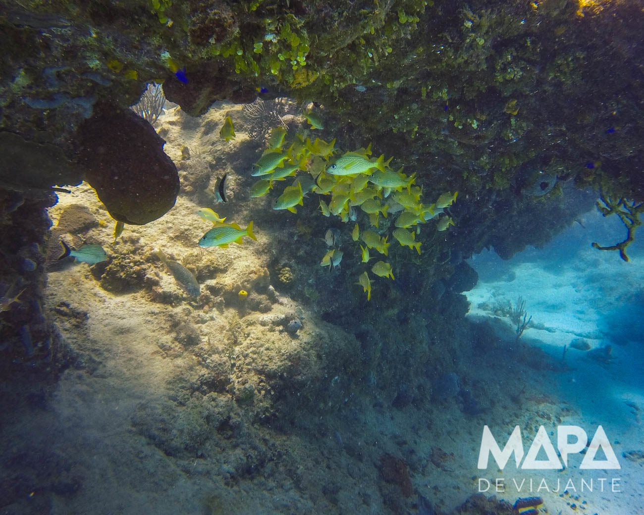 Estátuas Punta Padi em San Andrés