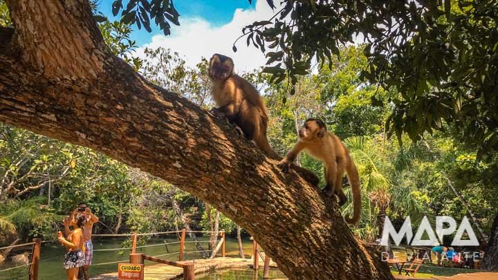 Parques em Bonito