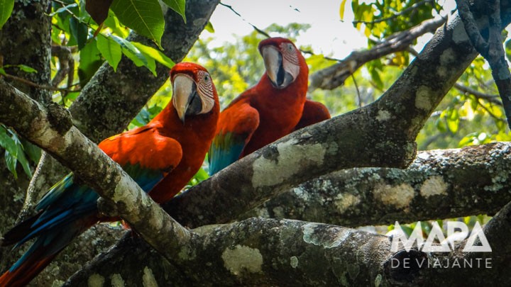 Buraco das Araras: o que fazer em Bonito Roteiro de 7 dias