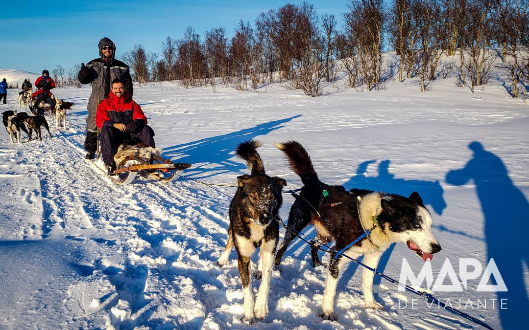 Passeio de Dogsledding Trenó com Ruskies