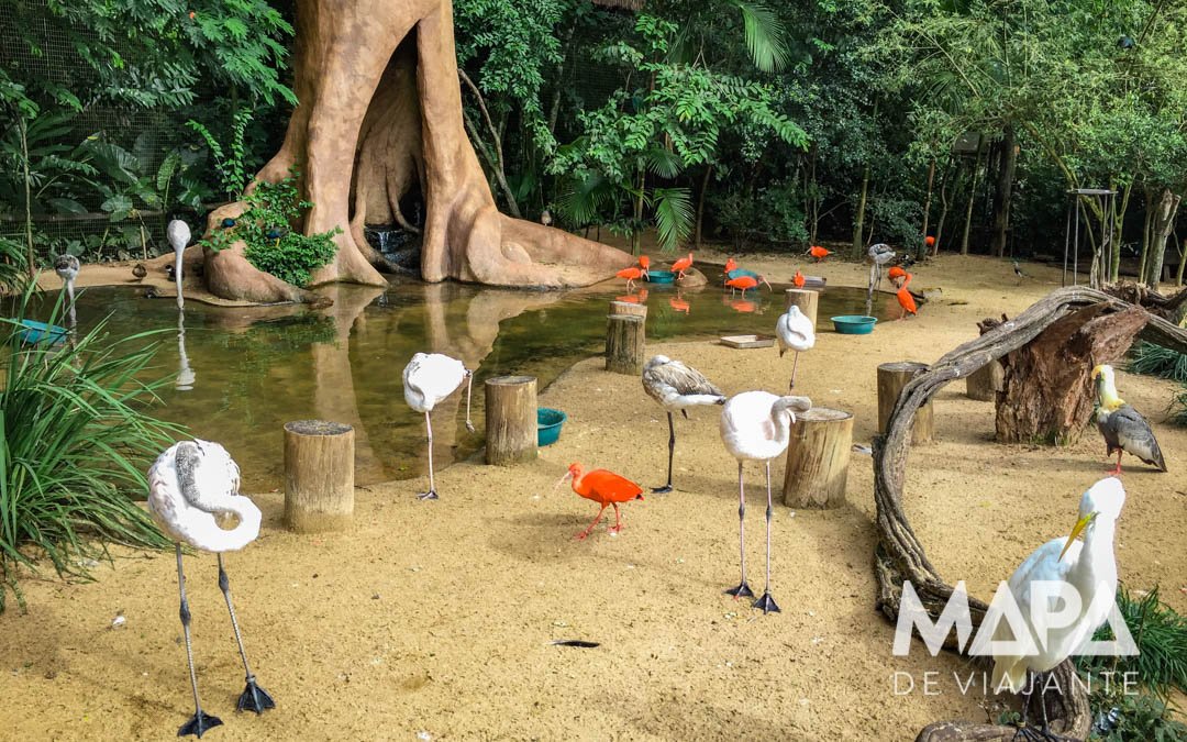 Parque das Aves Foz do Iguaçu