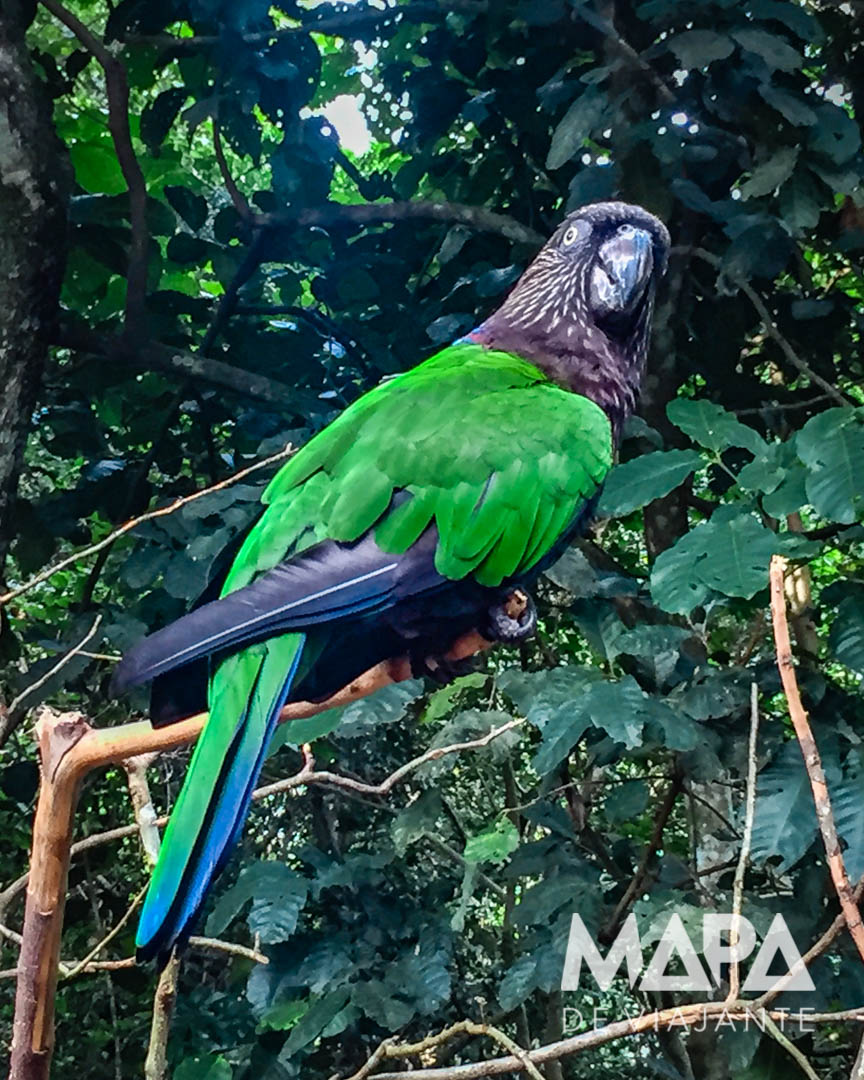 Parque das Aves