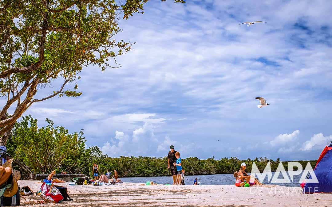 Florida Keys Pennekamp O que fazer