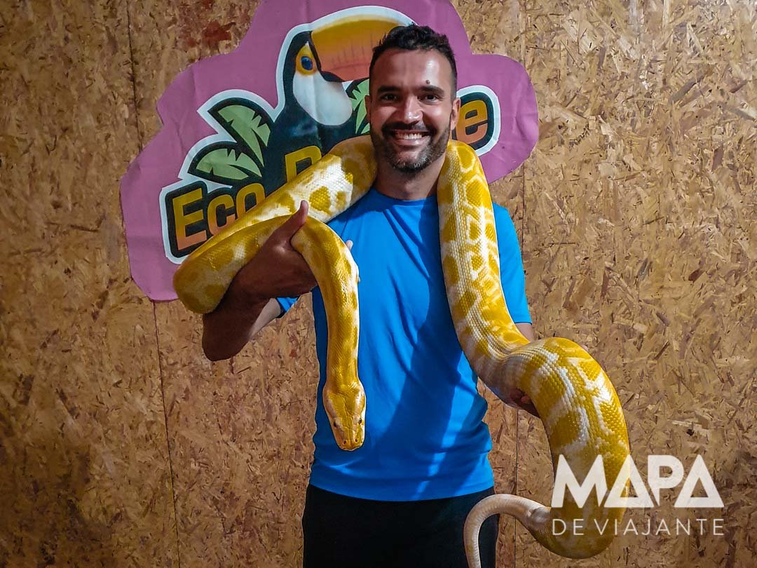 Cobra Piton Eco Parque