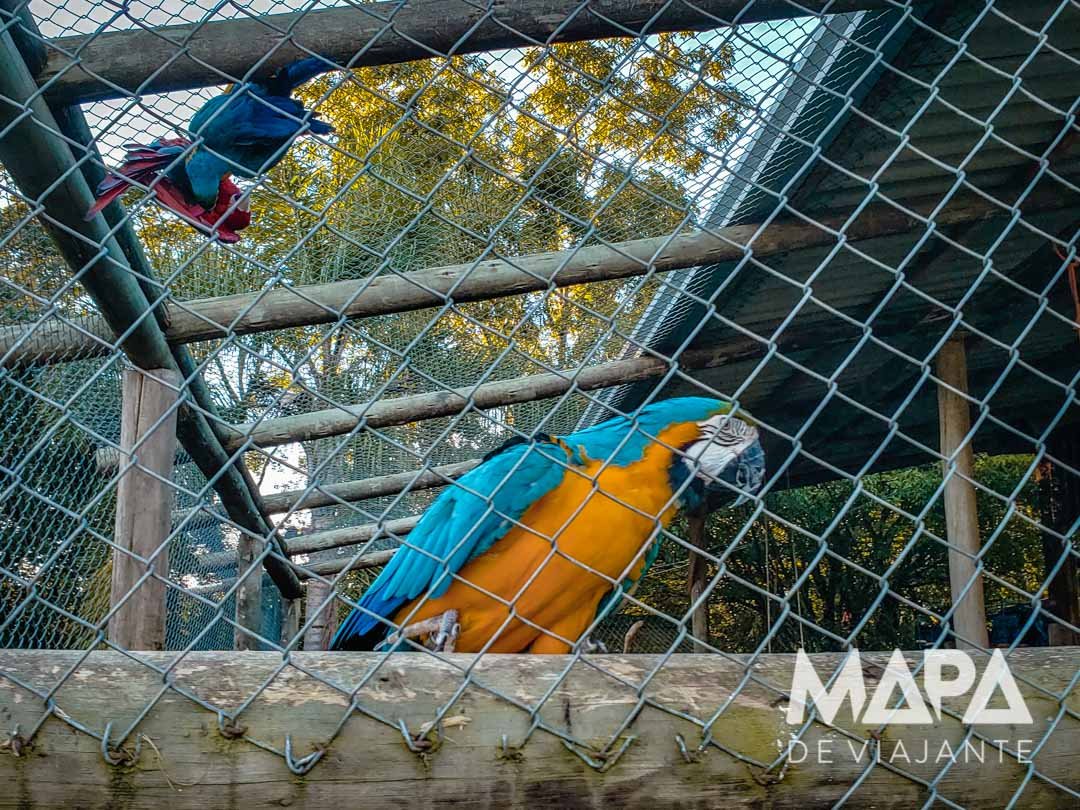 Viveiro de pássaros Cia Aventura Nova Roma