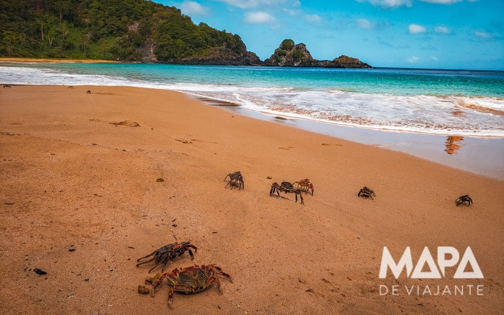 Praia do Sancho Noronha