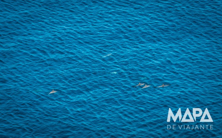 Mirante dos Golfinhos Complexo do Sancho