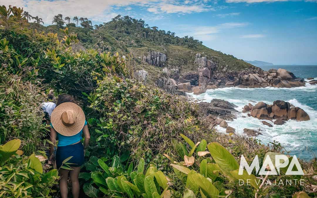 Trilhas na Ilha do Campeche