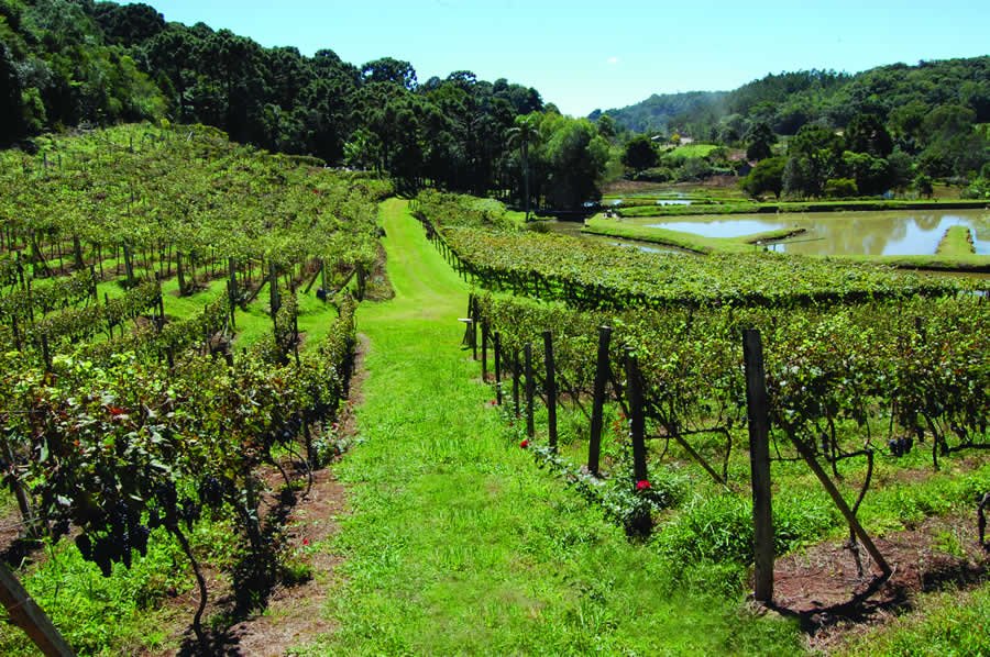 Vinícola-Stopassola-Gramado