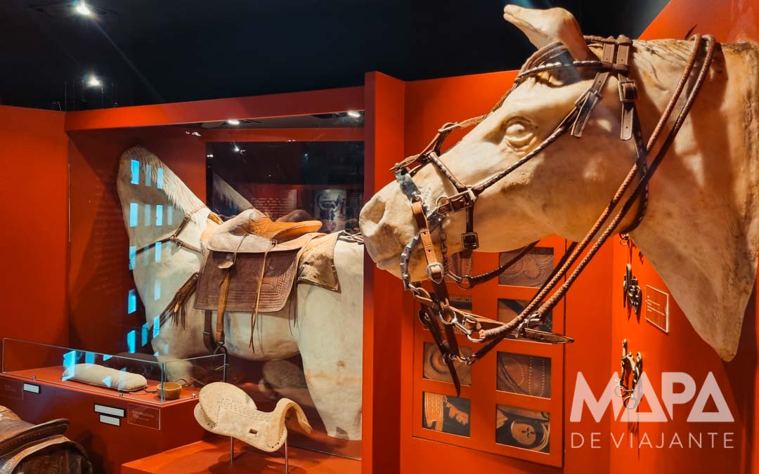 Museu de Arte e Cultura Cearense