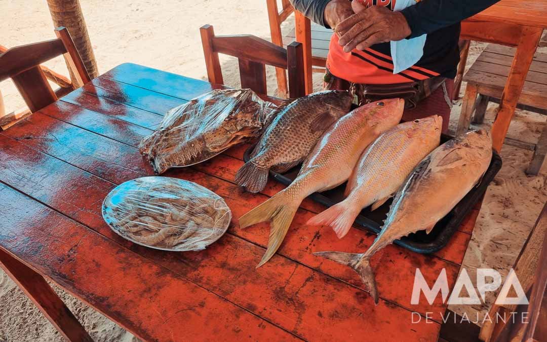 Passeio Oeste Lagoa Jericoacoara