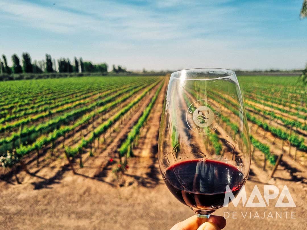 Mendoza na primavera
