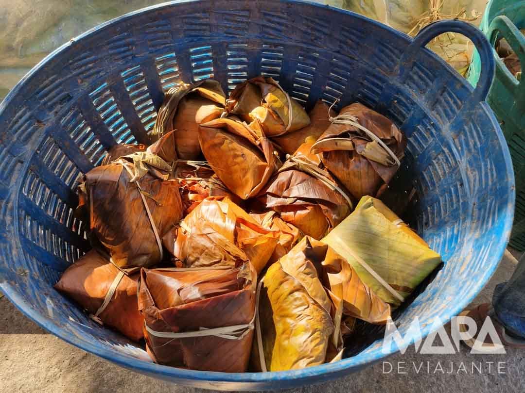 Como são os santuários de elefantes na Tailândia