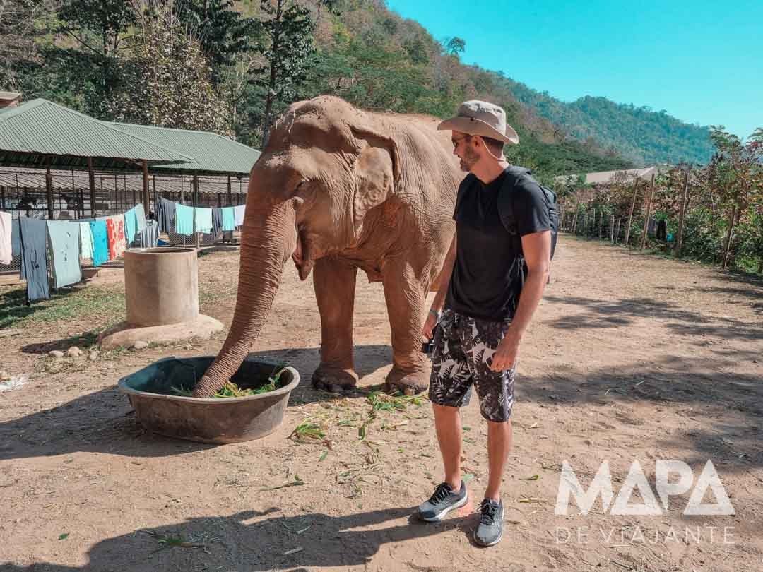 Chian Mai Santuário Elefantes Elephant Nature Park
