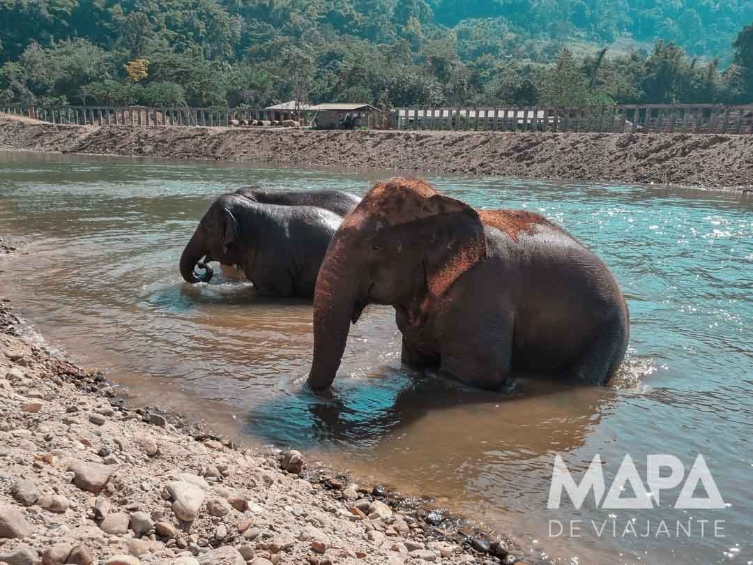 Como são os santuários de elefantes na Tailândia