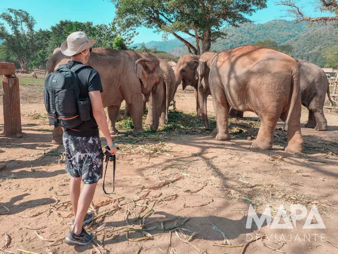 Chian Mai Santuário Elefantes Elephant Nature Park