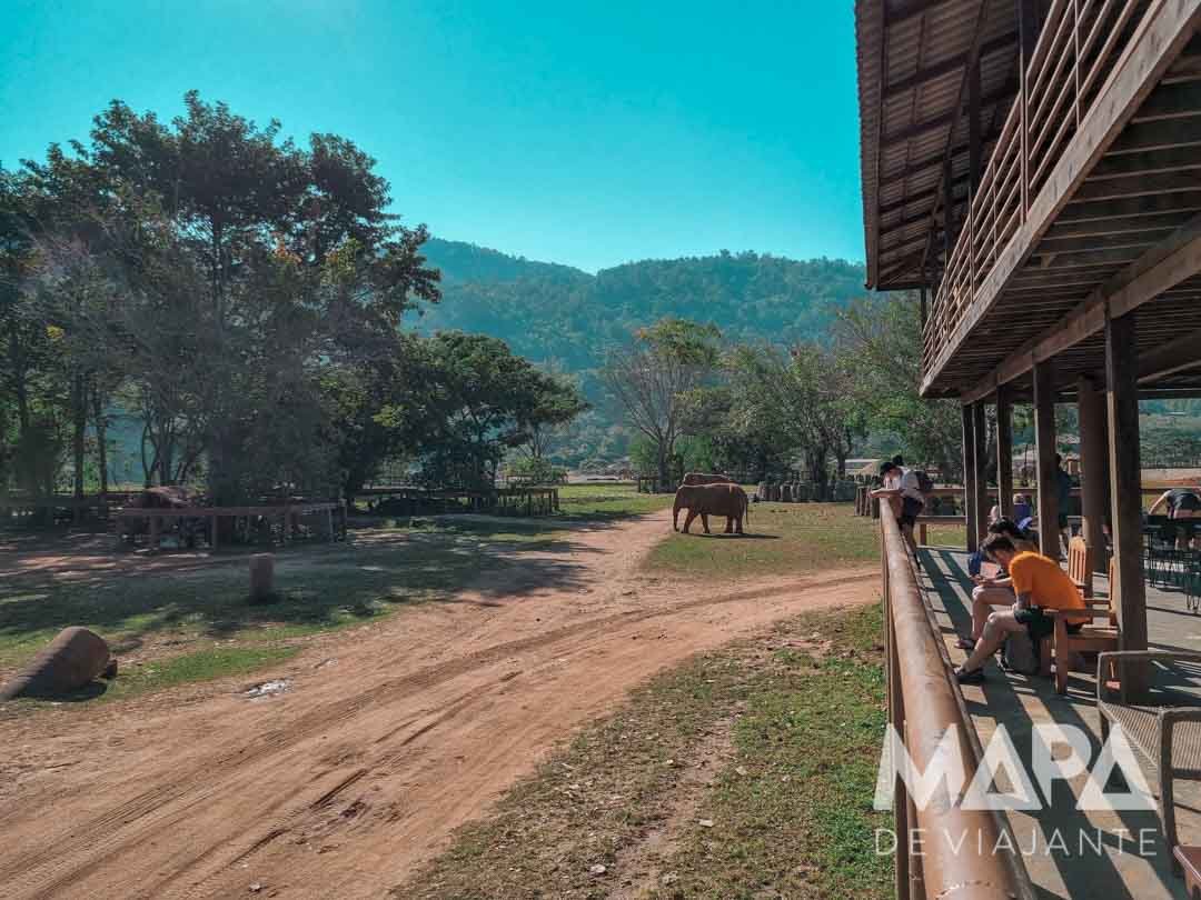Como são os santuários de elefantes na Tailândia