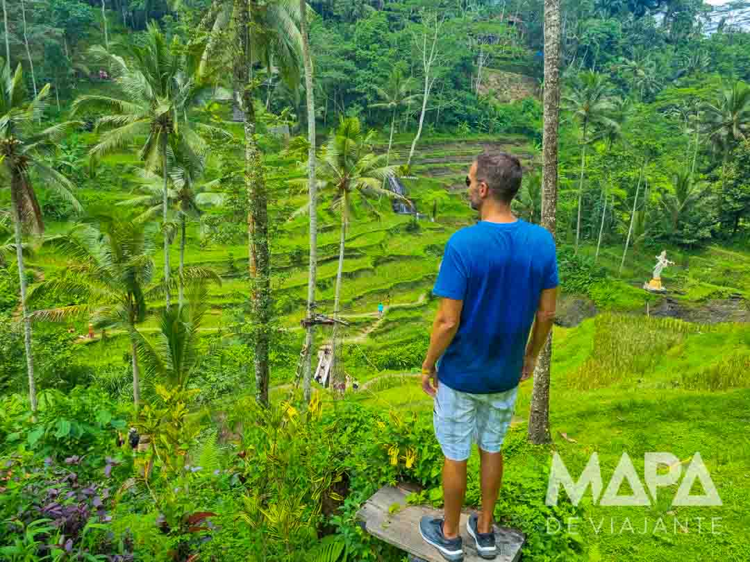 Terraços de Arroz Ubud Indonésia