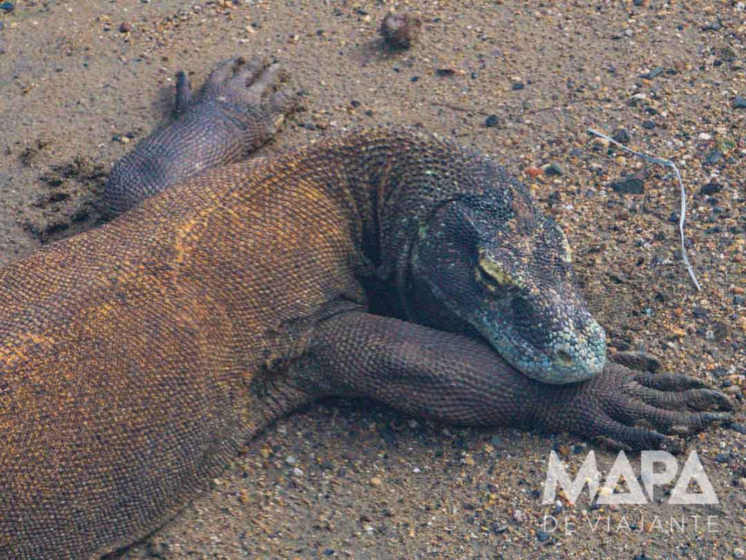 Parque Nacional de Komodo Labuan Bajo