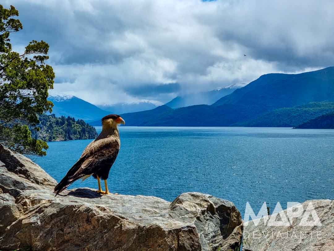 Circuito dos Sete lagos San Martin de Los Andes Bariloche Argentina