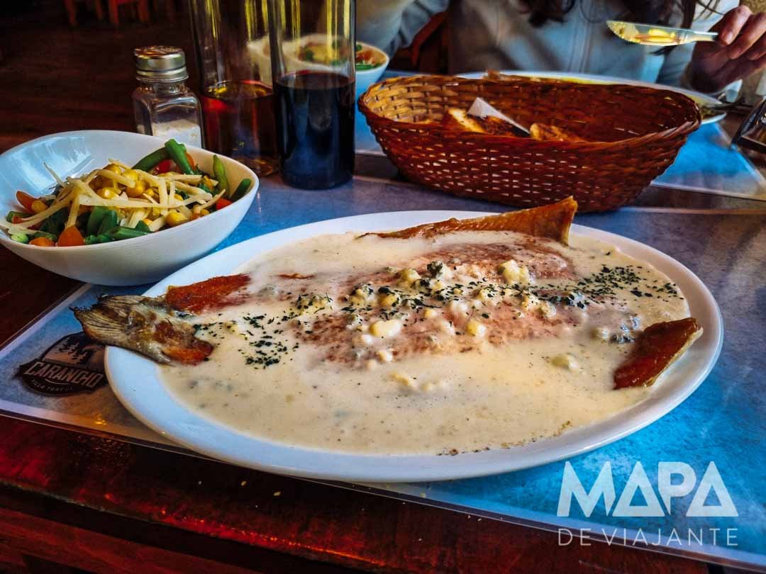 Onde comer truta beber tomar café cafeteria San Martin de Los Andes