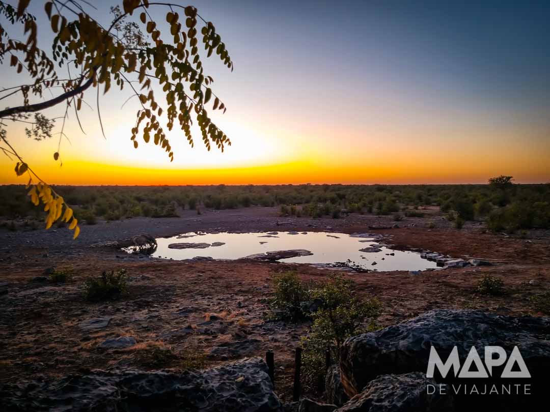 Namíbia África Safári Etosha Parque Nacional Zebra Leão Elefante Girafa game drive Okaukuejo Halali Waterhole