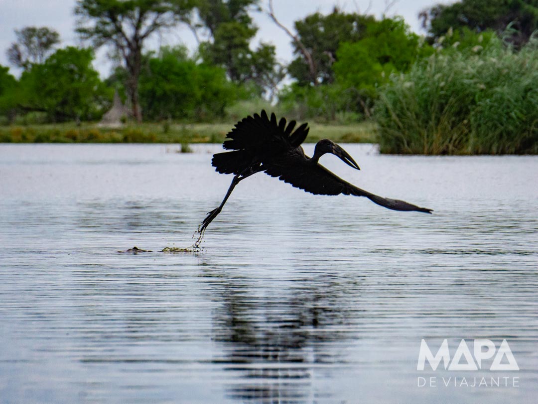 África Botsuana Maun Okavango Delta Big 5 Safari moroko