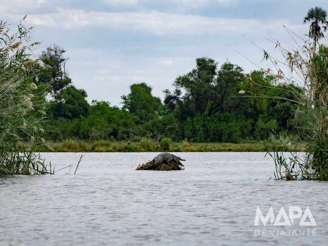 África Botsuana Maun Okavango Delta Big 5 Safari moroko