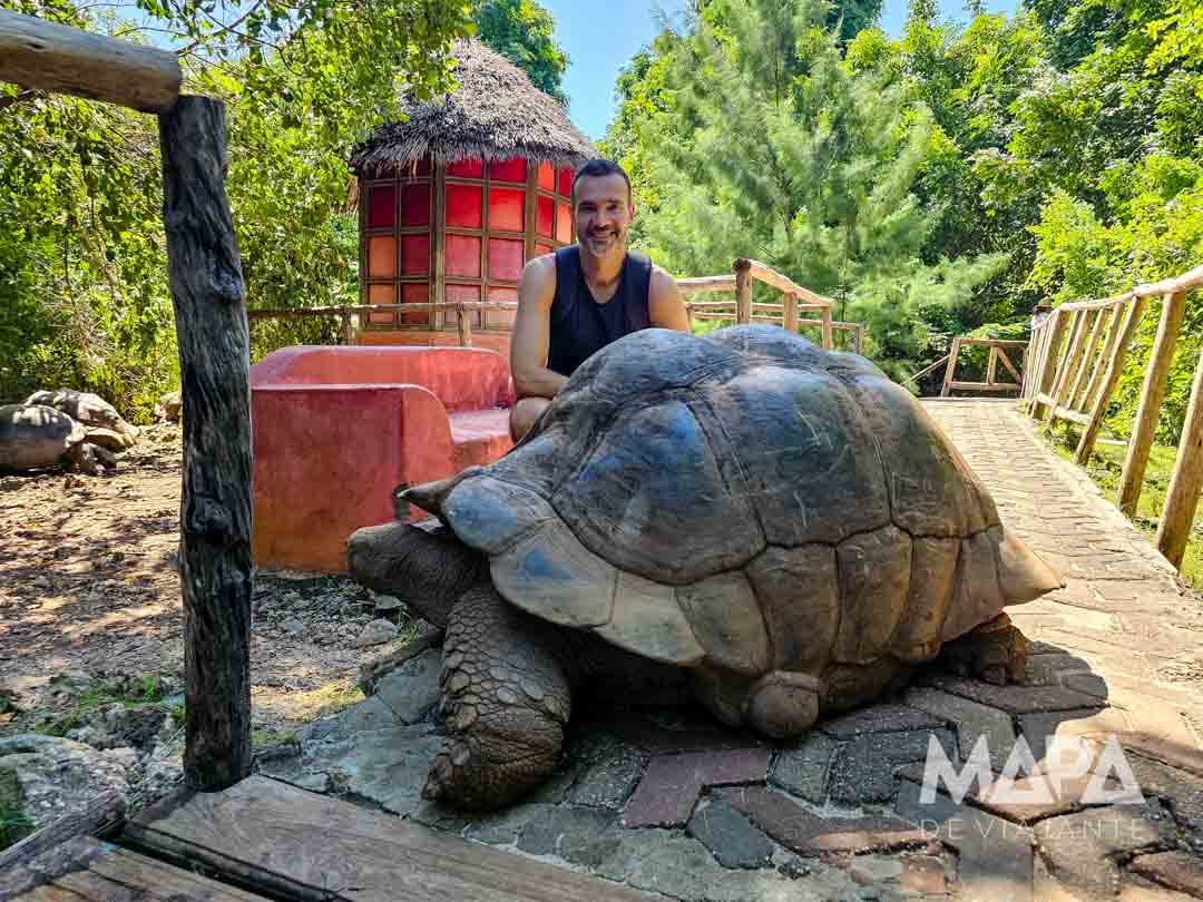 Nakupenda Beach e Prison Island Blue Safari Tartarugas