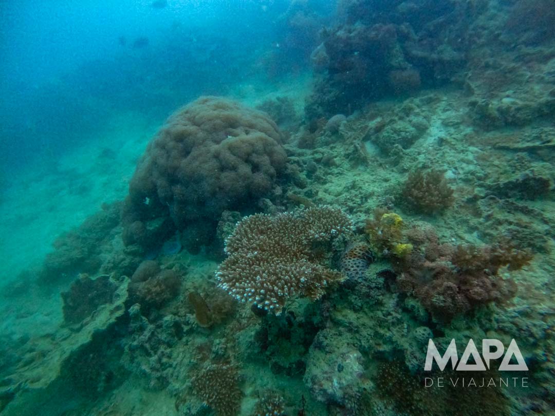 Mergulho Cilindro Zanzibar Nungwi Tumbatu Mnemba