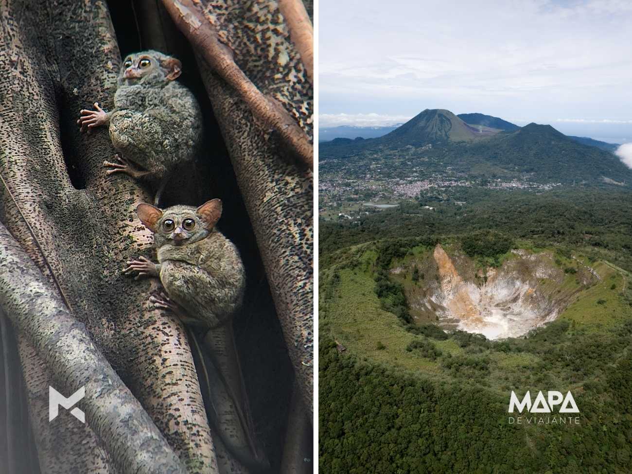 Indonésia Sulawesi Ilhas Banggai Luwuk Paisu Pok Manado Tomohom Tangkoko Pulau Dua