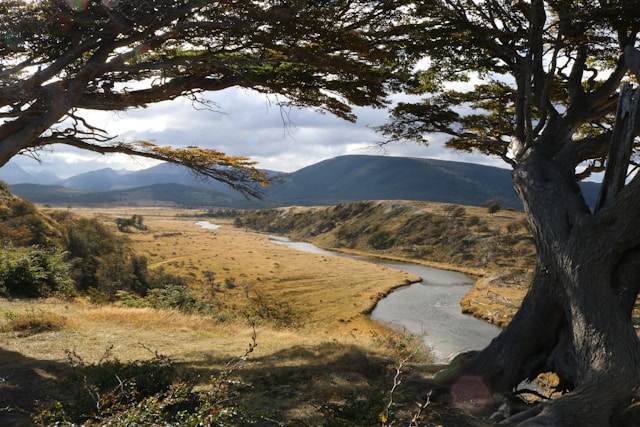 Parque Nacional Tierra del Fuego Ushuaia Argentina Fonte: Paul Lucyk