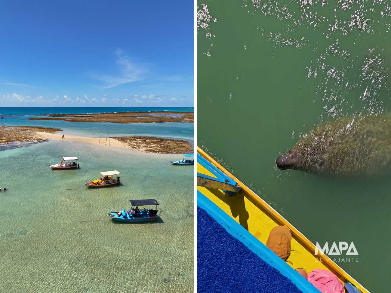 Praia de Lajes Patacho São Miguel dos Milagres Piscinas Naturais