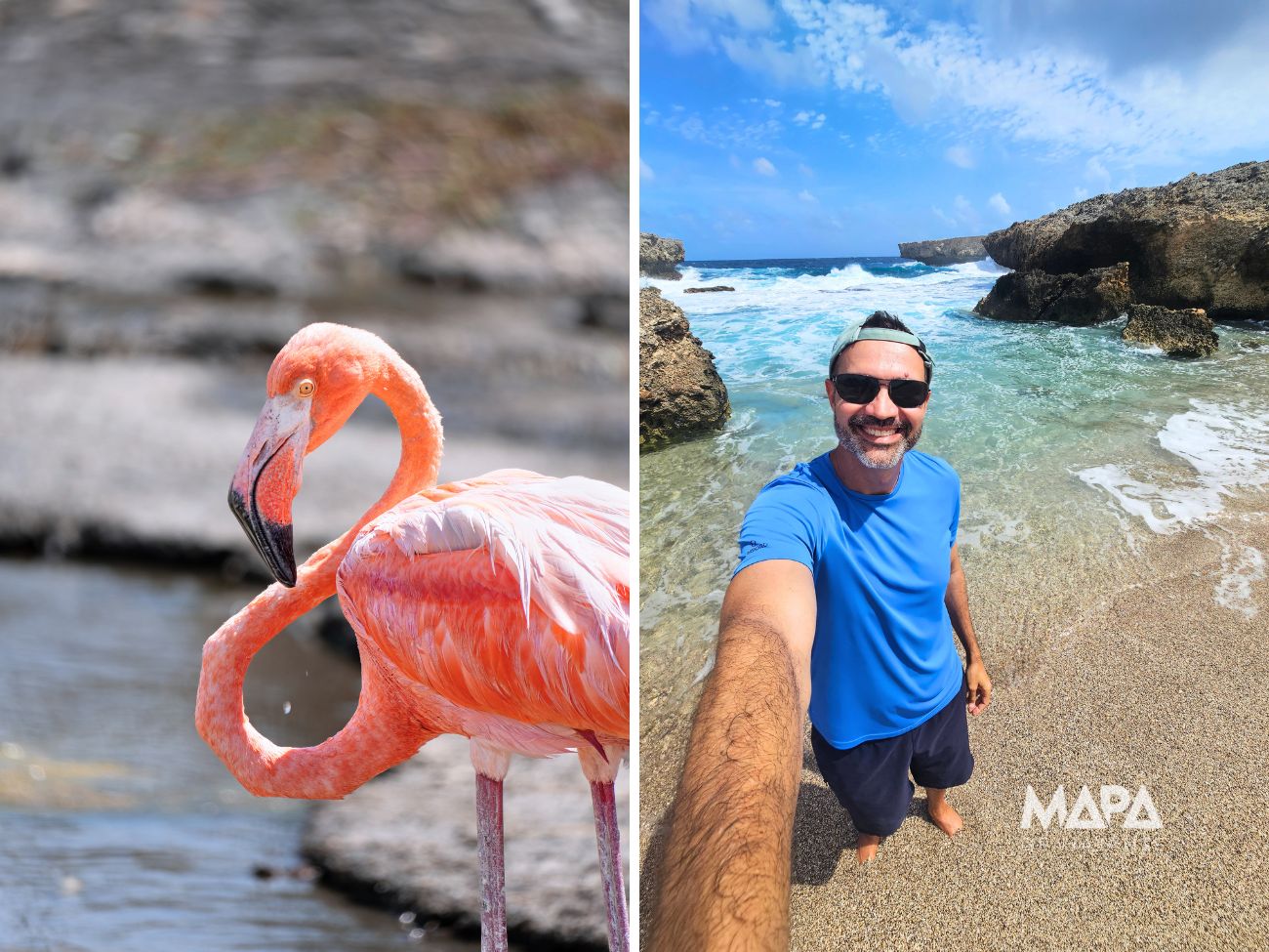 Ilhas ABC Curaçao Aruba Bonaire Slagbaai Washington National Park O que fazer Roteiro