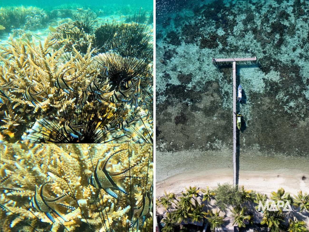 Banggai Laut Sulawesi Indonésia