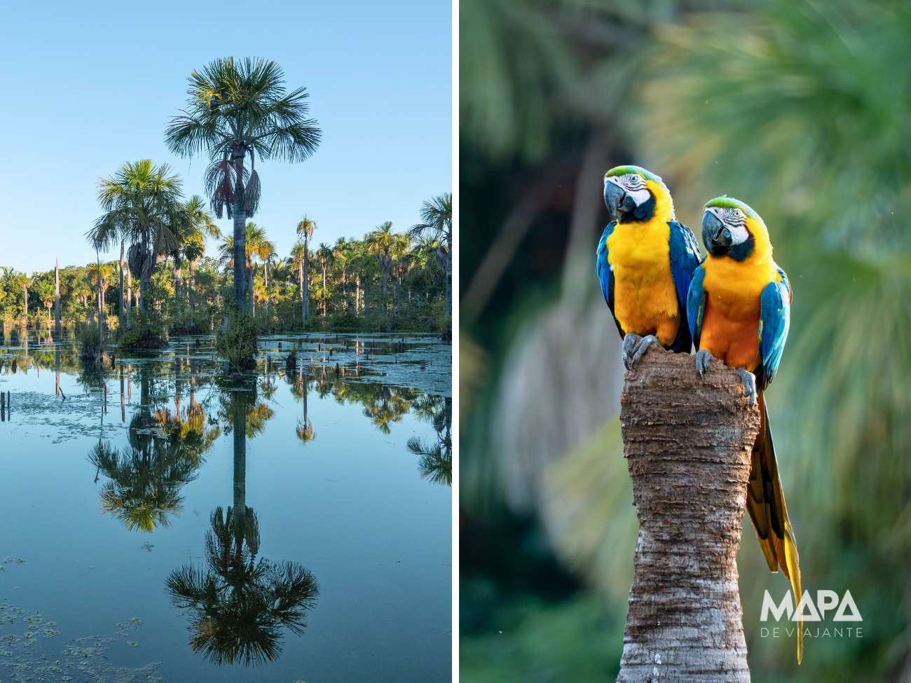 Lagoa das Araras Nobres Bom Jardim Mato Grosso
